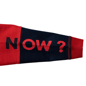 Sudadera de felpa tricolor con inscripciones estampadas 