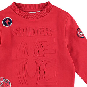Sudadera de felpa con araña en relieve e insignias superpuestas 