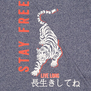 Júnior - Camiseta de manga larga de punto jaspeado con tigre y tectos estampados 