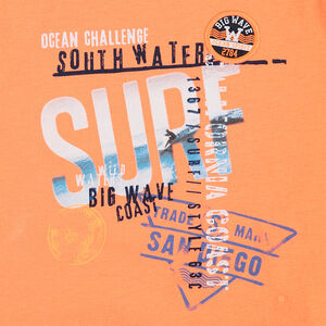 Camiseta de manga corta de punto con estampado de fantasía de estilo vacacional 