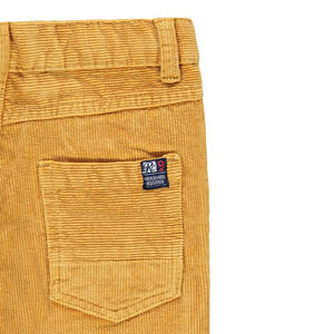Pantalón de pana 1000 rayas 