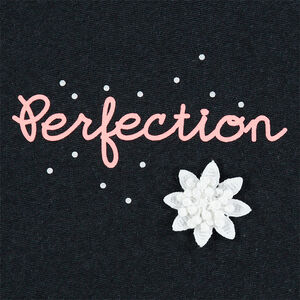 Camiseta de manga larga con mensaje bordado por delante  