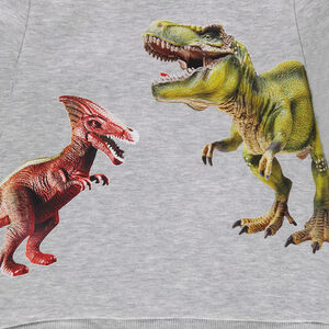 Chándal con dinosaurios estampados 