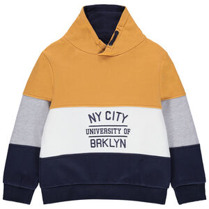 Sudadera de felpa tricolor con inscripciones bordadas 