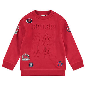 Sudadera de felpa con araña en relieve e insignias superpuestas 