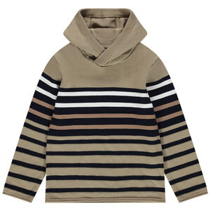 Pull en tricot à capuche à rayures placées 