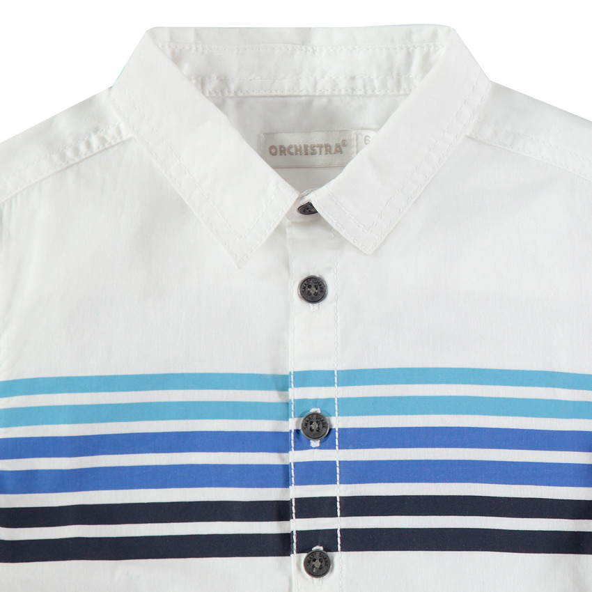 Camisa de mangas largas y rayas de algodón con tiburón estampado 