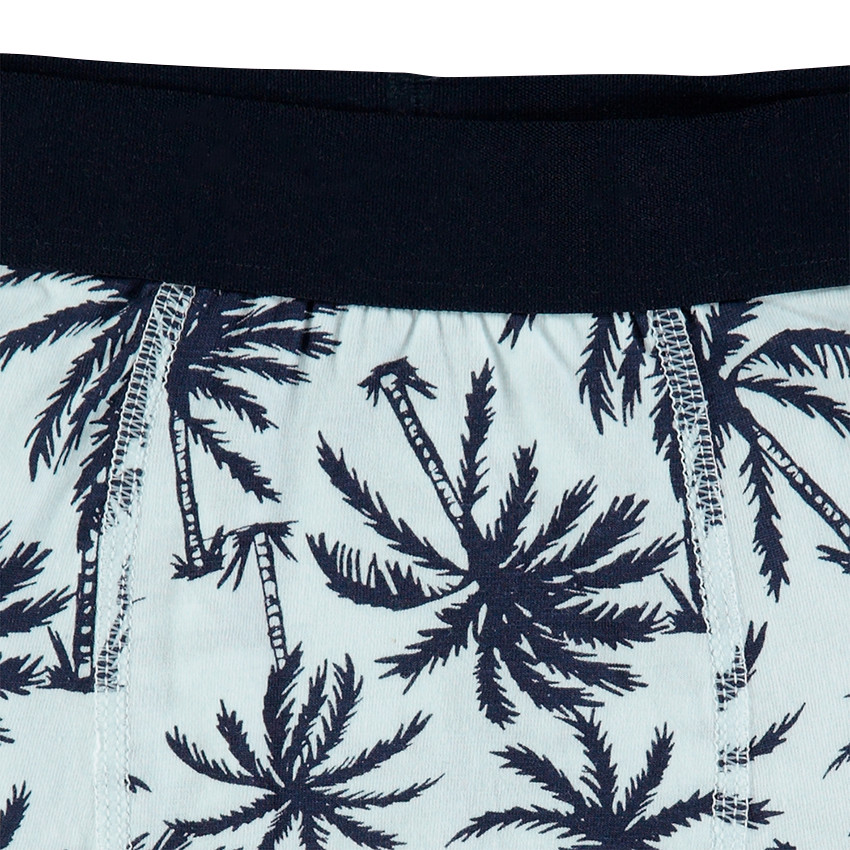 Júnior - Juego de 2 bóxers con palmeras estampadas y mensaje 