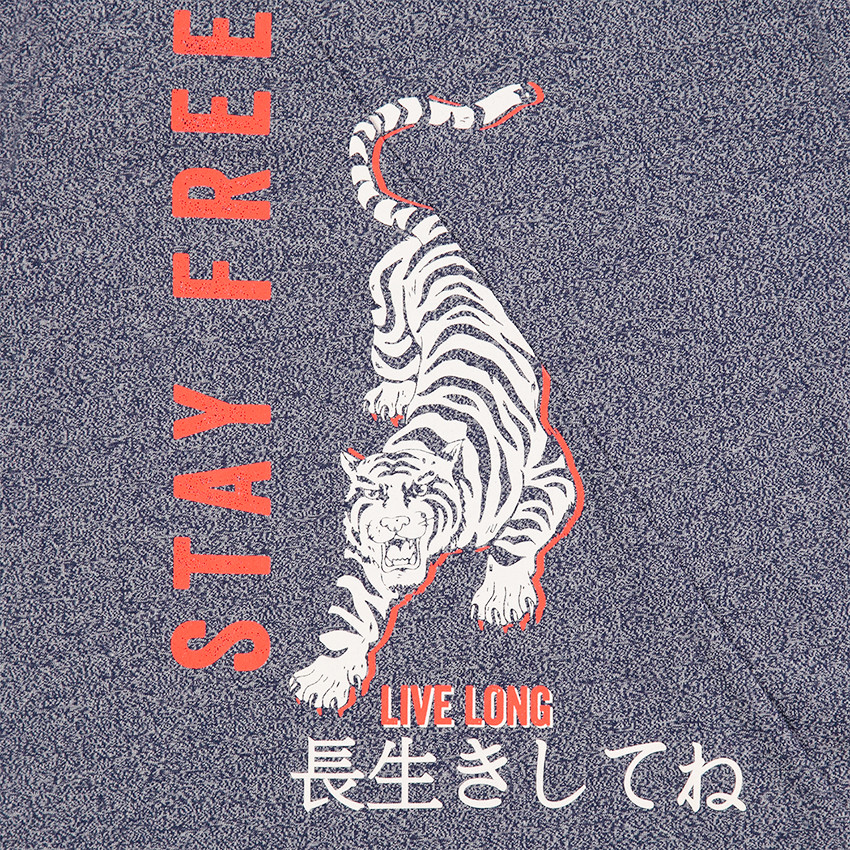 Júnior - Camiseta de manga larga de punto jaspeado con tigre y tectos estampados 