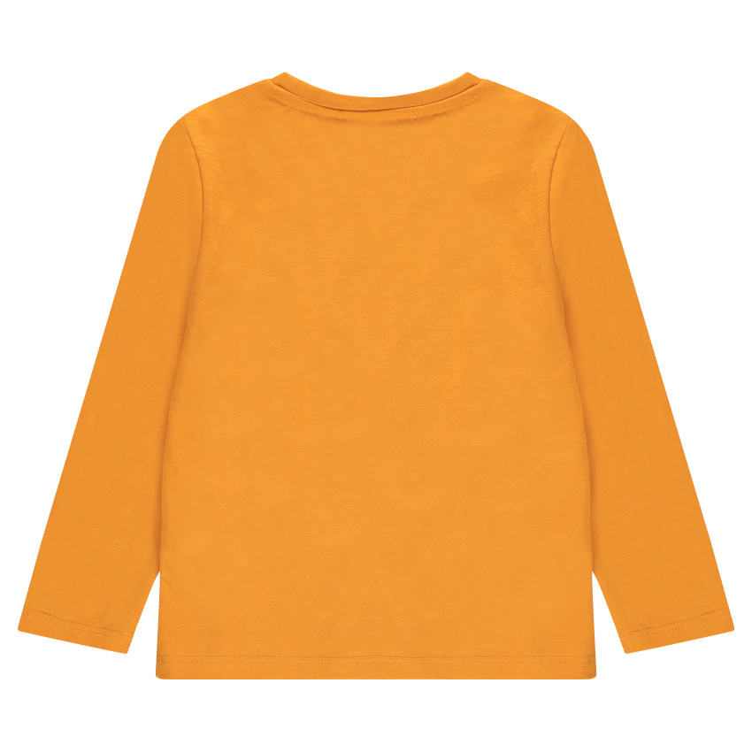 Camiseta de punto de manga larga con estampado de fantasía 