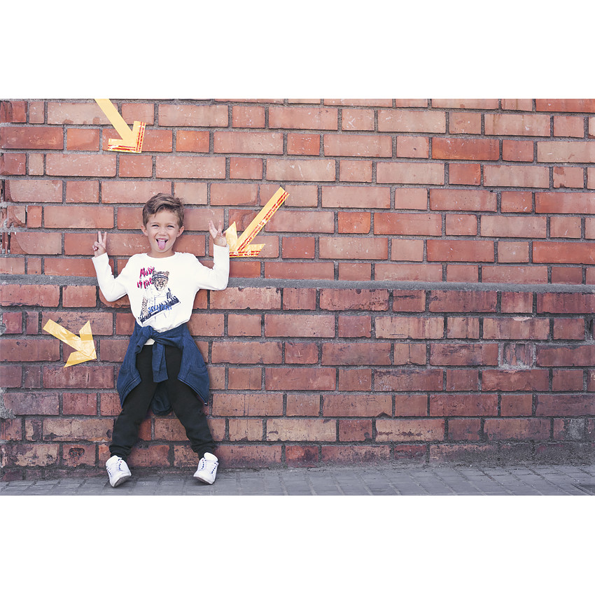 Camiseta de punto de manga larga con estampado de fantasía 