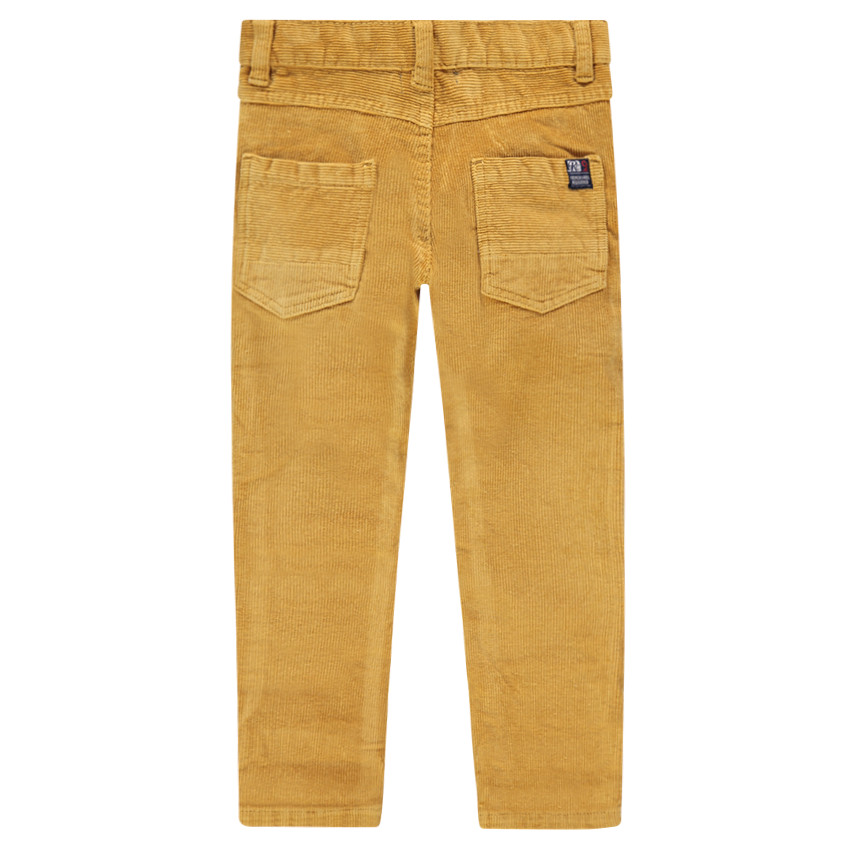 Pantalón de pana 1000 rayas 