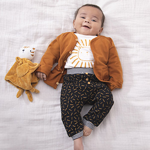 Lion and friends 1-12 meses